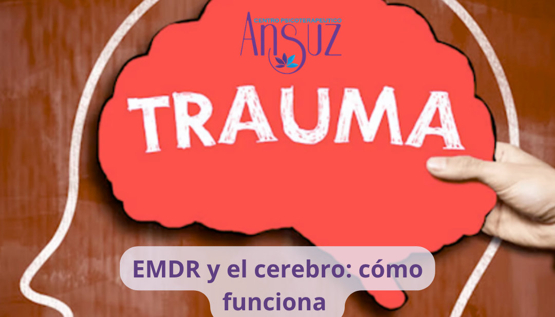 EMDR y el cerebro: cómo funciona