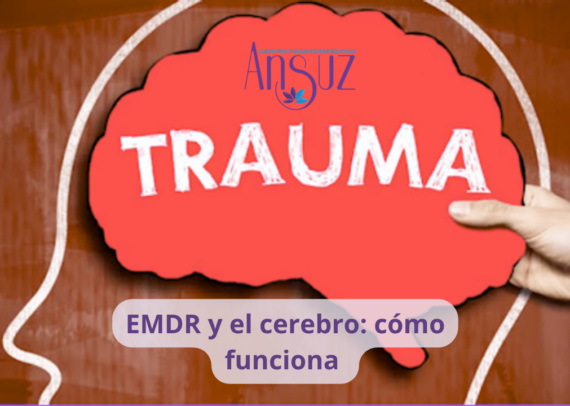 EMDR y el cerebro: cómo funciona